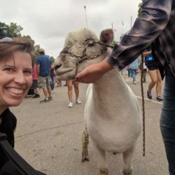 Hmm.  Wrong color sheep but it's all I've got.