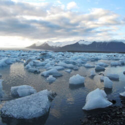 Glacier bay