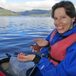 Ketchikan Starfish