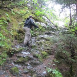Mendenhall glacier west trail